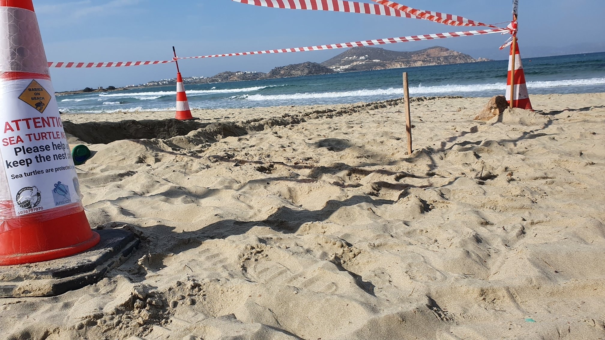 Τ’ αβγά της θαλάσσιας χελώνας λιάζονται στην παραλία λουομένων του Αγίου Γεωργίου!