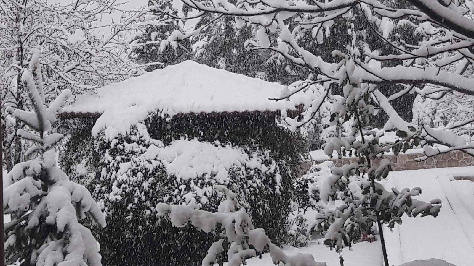 Σήμερα: Το Παλαιοχώρι Καβάλας (που βρίσκεται στις πλαγιές του όρους Παγγαίου), «βουλιάζει» στο πυκνό χιόνι. (Video: Π. Καρανίκας)