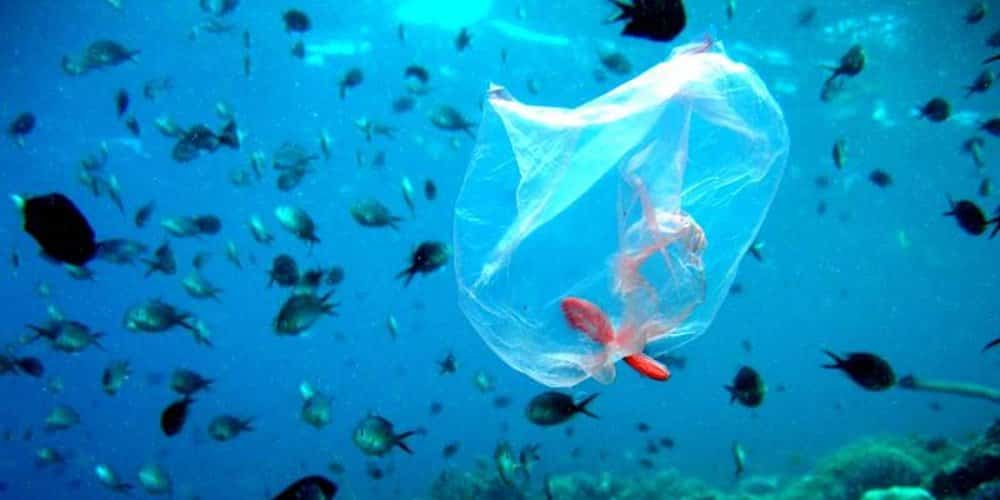 Νάξος, 13 & 14 Νοεμβρίου 2021 - Περιβαλλοντική απόΔραση Attica Group - “Πλέουμε μαζί” για την προστασία του περιβάλλοντος και των θαλασσών μας