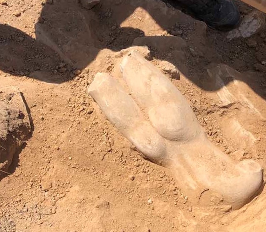 Νέα σημαντικούς αρχαιολογικούς θησαυρούς έκρυβε η γη του Δεσποτικού Αντιπάρου