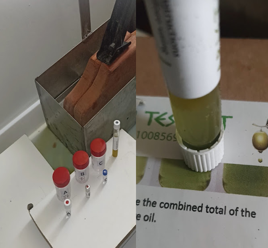 Νάξος: Παραγωγή Extra παρθένου ελαιόλαδου υψηλής ποιότητας - Μέρος 2ον: Αποθήκευση και διατήρηση της ποιότητας του ελαιοκάρπου όλο το χρόνο