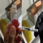 Νάξος: Παραγωγή Extra παρθένου ελαιόλαδου υψηλής ποιότητας - Μέρος 2ον: Αποθήκευση και διατήρηση της ποιότητας του ελαιοκάρπου όλο το χρόνο