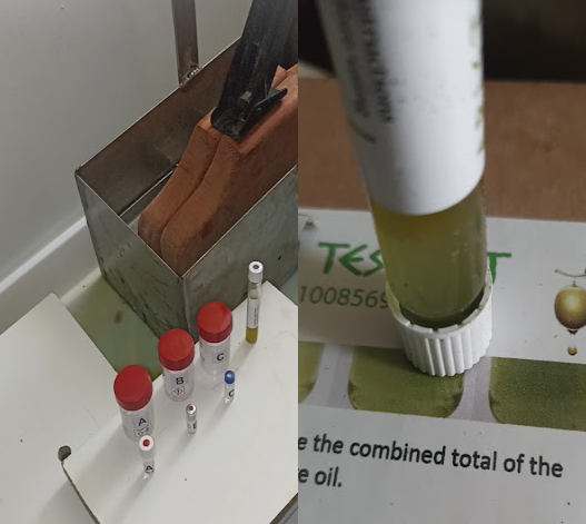 Νάξος: Παραγωγή Extra παρθένου ελαιόλαδου υψηλής ποιότητας - Μέρος 2ον: Αποθήκευση και διατήρηση της ποιότητας του ελαιοκάρπου όλο το χρόνο